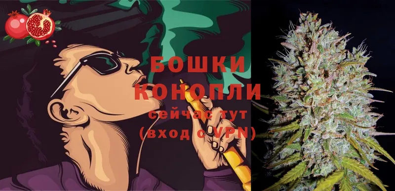 купить наркотики цена  Ликино-Дулёво  Конопля OG Kush 